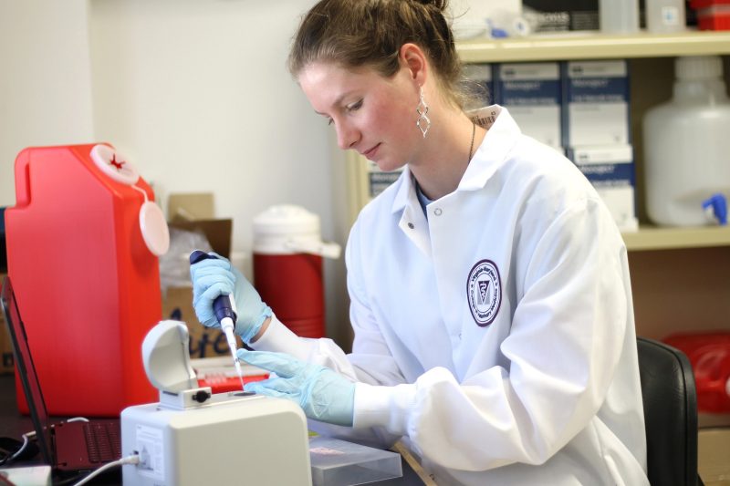 Amber Abbott does undergraduate research in a lab.